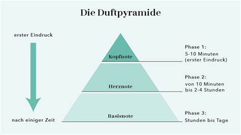 Die Duftpyramide ️Aufbau & Noten .